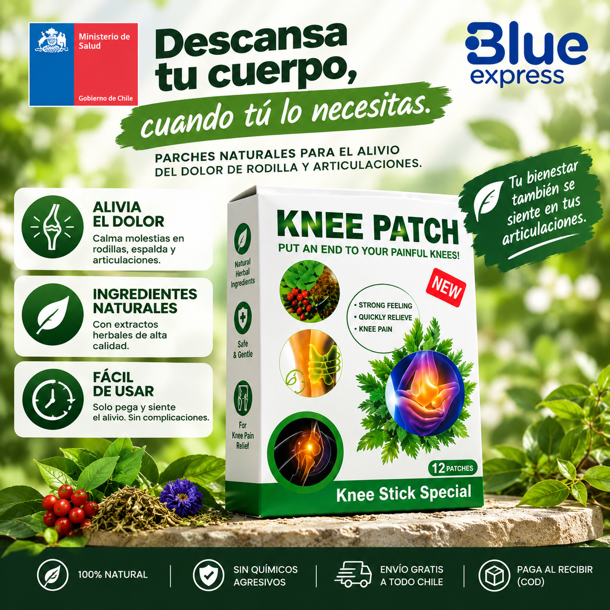 Parche Herbal de Ajenjo para Cuello y Espalda | Caja de 10